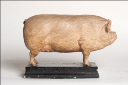Vorschau Typus der mittelschweren weissen englischen Schweineracen