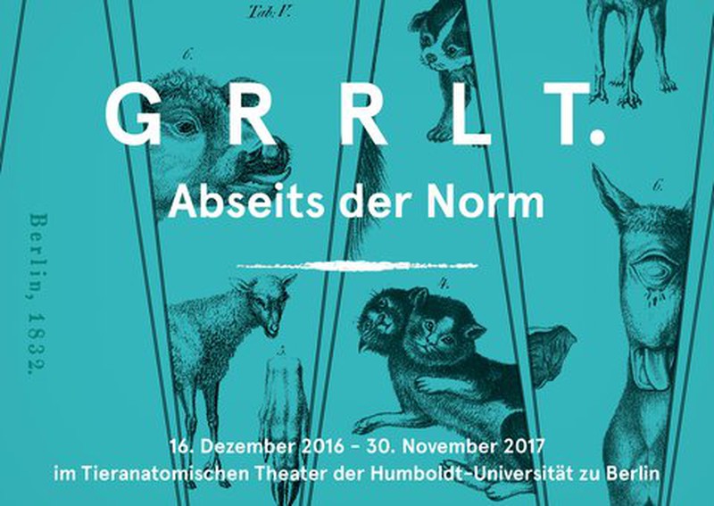 GRRLT