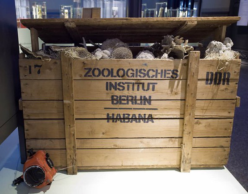 Die politischen Bündnisse während der DDR-Zeit haben sich auch in den Sammlungen der Humboldt-Universität niedergeschlagen. Foto: Museum für Naturkunde, Berlin