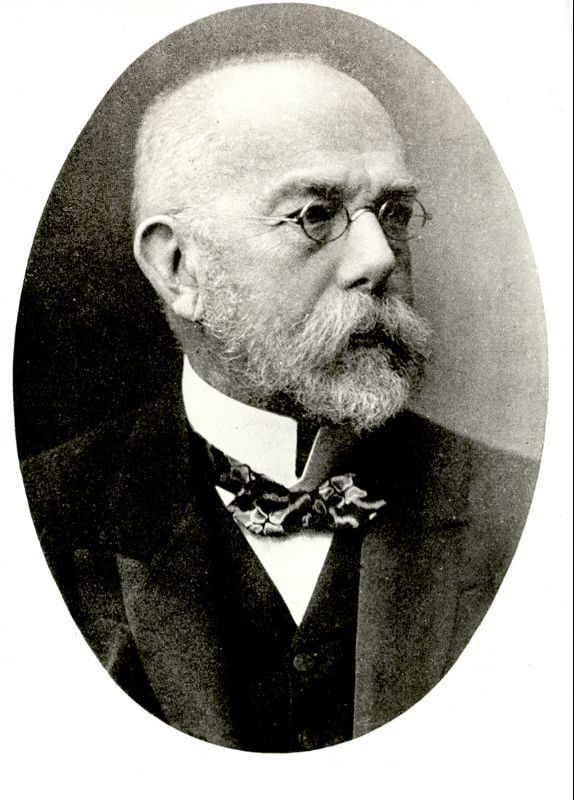 Biografie, Robert Koch