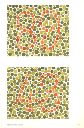Vorschau Pseudo-isochromatische Tafeln zur Prüfung des Farbsinnes, Tafel II4