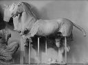 Vorschau Foto, Ostgiebel des Zeustempels, Pferdegespann