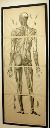 Vorschau Anatomischer Atlas von M. D. Weber, Darstellung auf vier Blättern