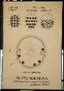 Vorschau Wandtafel, Phytomonadina