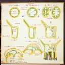 Vorschau Wandtafel, Bauschemata Cnidaria