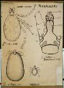 Vorschau Wandtafel, Hundezecke