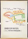 Vorschau Wandtafel, Enteropneusta Schema