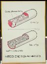 Vorschau Wandtafel, Mitochondrien-Schemata