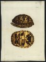 Vorschau Kupferstich nach F.W. Wunder, Carolina-Dosenschildkröte
