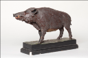 Vorschau Wildschwein-Keiler